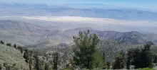 20250706_114556.jpg