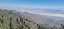20250706_114657.jpg