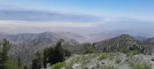 20250706_114743.jpg
