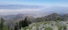 20250706_114747.jpg