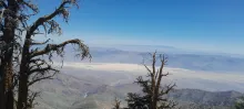 20250706_120851.jpg