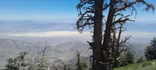 20250706_121031.jpg