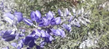 20250706_121334.jpg