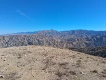 20251019_134912.jpg
